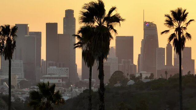 Aerial shot of downtown Los Angeles at sunset behind a row of palm trees.