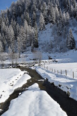 Winter view of stream, forest and fence around it