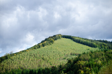 Beautiful slopes of Carpathian Mountains in Ukraine, dotted with forests and bare valleys at site...