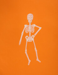 Plastic skeleton isolated on orange background. Halloween concept