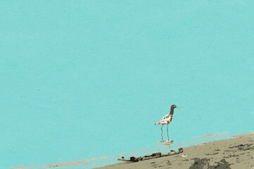 Ptak na długich nogach na błękitnym tle. - 550665939