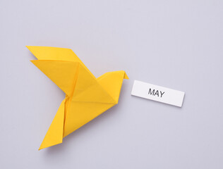 Yellow origami dove holding May month on a gray background. Peace symbol, no war