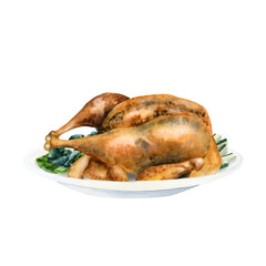 Whole roasted chicken with vegetables, bok choy cabbage on plate. Hand drawn watercolor illustration of European cuisine
