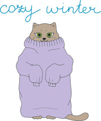 Cute cat in warm purple sweater isolated on white background with hand drawn phrase Cozy winter. Winter theme