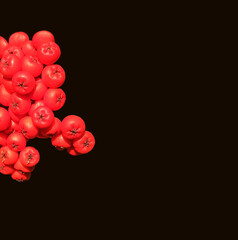 part of a bunch of red rowan on a black background with space for text, background