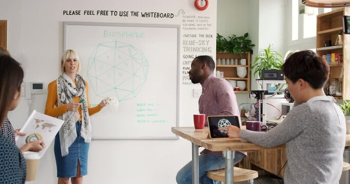 Meeting, whiteboard and ecology with a business woman coaching her team in the boardroom of an office. Planning, strategy and collaboration with a female and employee group studying the biosphere