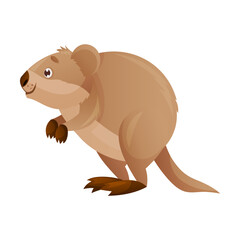 Funny Quokka as Short-tailed Scrub Wallaby with Rounded Ears Standing on Hind Legs and Smiling Vector Illustration