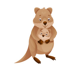 Obraz na płótnie Canvas Funny Quokka as Short-tailed Scrub Wallaby with Baby Sitting in Its Pouch Vector Illustration