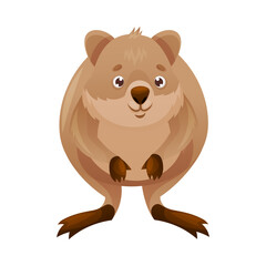 Funny Quokka as Short-tailed Scrub Wallaby with Rounded Ears Standing on Hind Legs and Smiling Vector Illustration