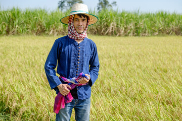 Thai male farmer in traditional dress and headdress standing in the middle of the rice field
