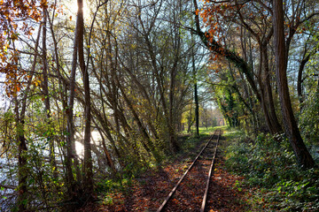 Naklejka premium Railroad track in the French Gâtinais Regional Nature Park. Seine et Marne country