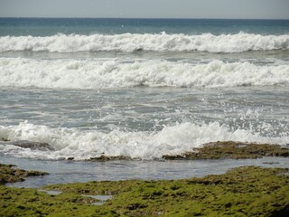 Mossy beach with foamy waves on a sunny day