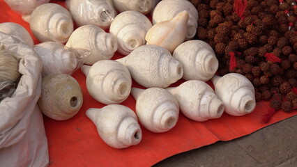 multiple shankh image new HD