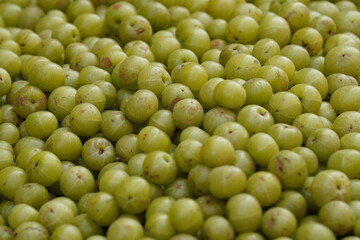Amla we also known as Indian gooseberries vegetable