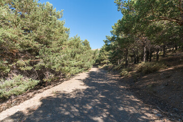 Fototapeta na wymiar dirt road in Sierra Nevada in southern Spain
