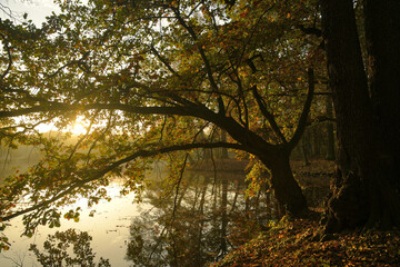 herbststimmung