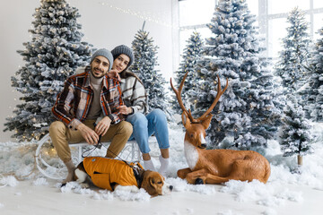Fototapeta na wymiar Photo session in the studio of a young couple.A couple is sitting on a sleigh. A family couple with a dog. New Year's story.