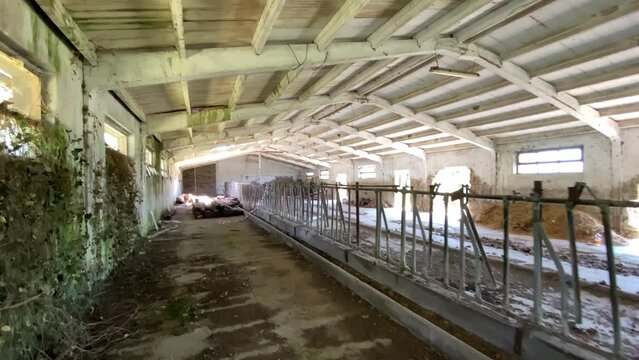 Ruined interior of an old cowshed on remote location, ancient destroyed farmhouse with broken windows and mossed stone walls, survived spooky construction frame of agricultural stable in countryside