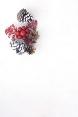 Christmas decor on a white background.
