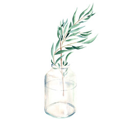 Eucalyptus branch, willow, in vase, jar. Watercolor hand drawn botanical illustration isolated on white background. Eco minimalistic style for greeting card, poster, textile prints.