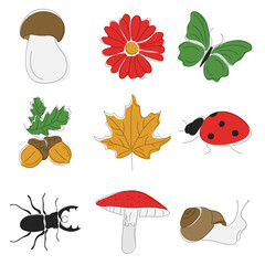 Set of natural elements. Vector illustration of plants and forest animals. Autumn images isolated on white background.