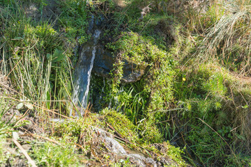 stream of water flowing through the grass