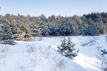 winter landscape, nature covered with snow at winter sunset