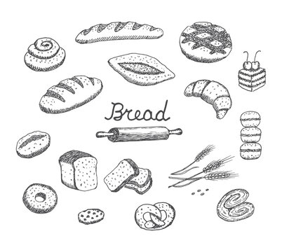 Bread vector hand drawn set illustration. Other types of wheat, flour fresh bread. Food bakery collection.