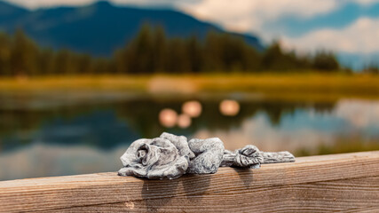 Details of a beautiful stone rose at the famous Schmittenhoehe summit, Zell am See, Zeller See lake, Salzburg, Austria