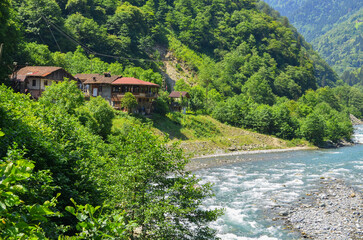 Fototapeta na wymiar river stretching between mountains