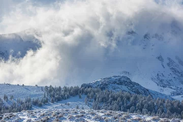 Foto op Aluminium Winter in Sierra Nevada © Galyna Andrushko