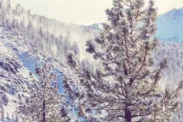 Foto auf Leinwand Winter mountains © Galyna Andrushko