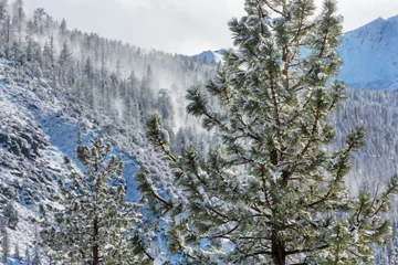 Foto auf Leinwand Winter mountains © Galyna Andrushko