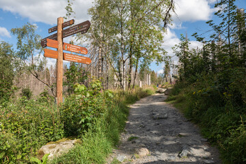Hiking signs near Brocken, Harz, Germany