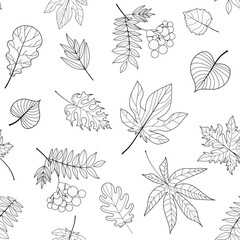 Leaves seamless pattern. Leaves in outline style. Pattern of rowan, birch, chestnut, oak, maple leaves. Vector illustration