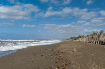 Sandstrand in Bibbona di mare in der Toskana in Italien im Herbst