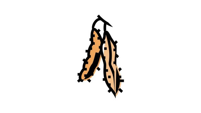 soy dry color icon animation