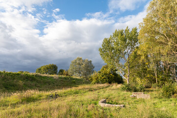 Obraz premium Landscape with trees and sky and bicycle