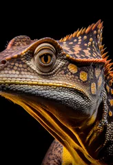 Foto auf Acrylglas dinosaurus portrait © Diana