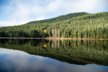 Obraz premium reflection of trees in the lake