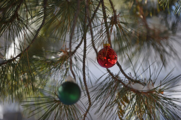 red and green ornament hanging in one tree with snow and bokeh