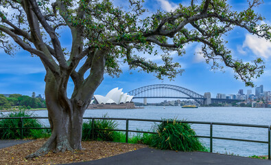 Sydney Harbour Australia at Sunset with the turquoise colours of the bay and high rise offices of the City in the background