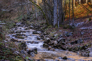 Bergbach im Herbst im Wald 