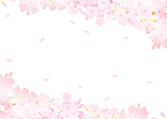光差し込む美しく華やかな満開の薄いピンク色の桜の花ー花びら舞い散る幻想的な白バックフレーム背景素材