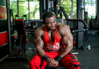 Fototapeta na wymiar Sporty young muscular bodybuilder. Strong handsome man in gym.