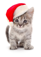 Kitten in Santa Claus Christmas hat.