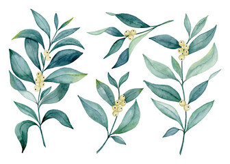 Watercolor collection of mistletoe leaves, berries and branches, botanical hand drawn PNG illustration isolated on transparent background for winter, holiday, Christmas and New Year design.