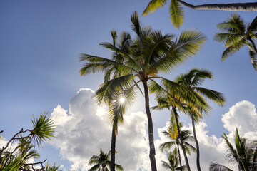 Fototapeta na wymiar Hawaii - Big Island - Strand - Sehenswürdigkeiten