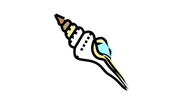 spindle sea shell beach color icon animation