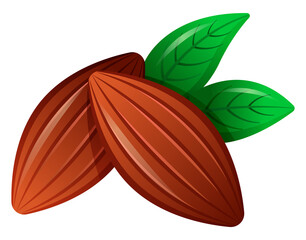 Organic cocoa beans with green leaves